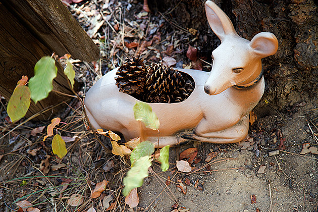 Deer Grave