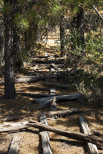 Grimes Cemetery