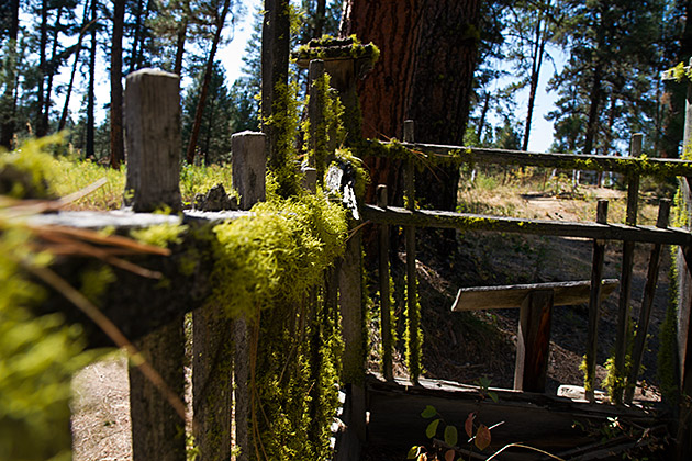 Idaho Cemetery Pioneer