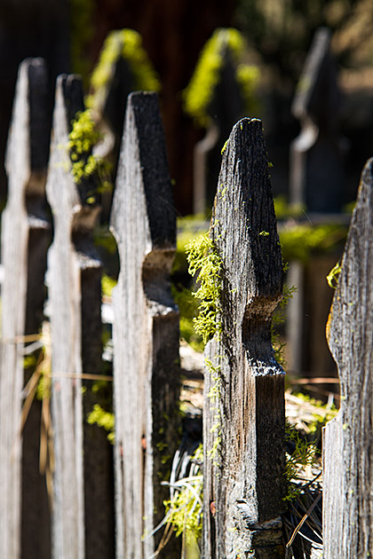 Moss Grave