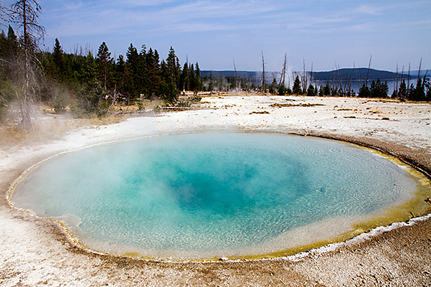 Read more about the article A Whirlwind Tour of Yellowstone Park