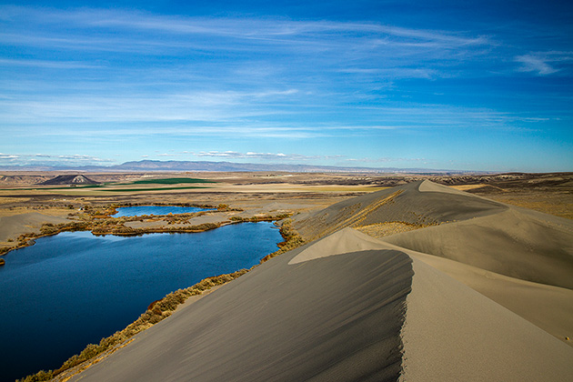 Read more about the article The Bruneau Sand Dunes