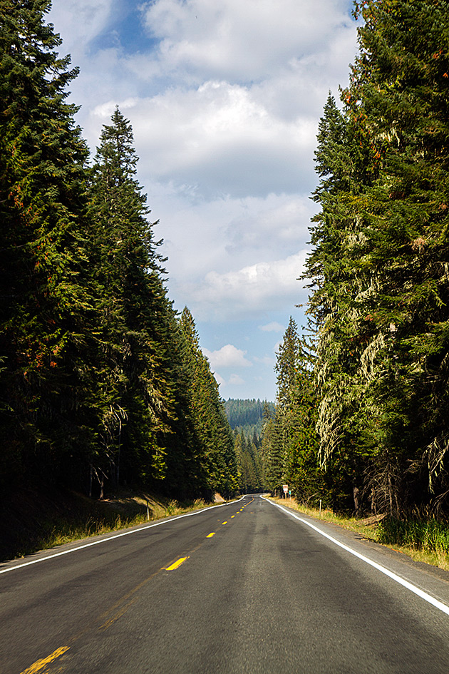 Read more about the article The White Pine Scenic Byway