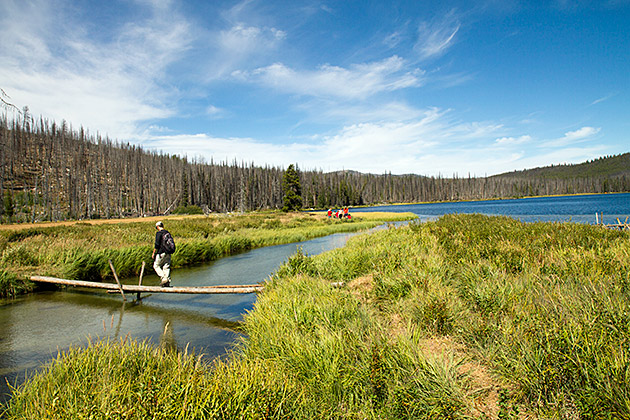 Read more about the article A Labor Day Hike to Loon Lake