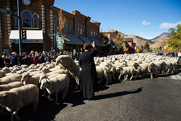 Read more about the article The Trailing of the Sheep