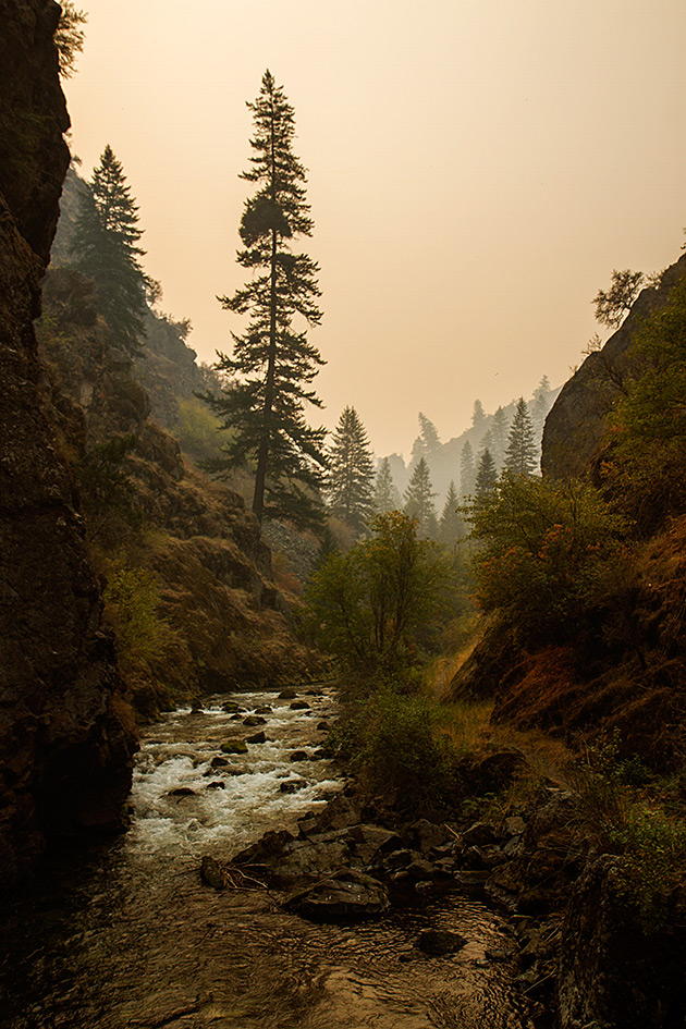 Read more about the article The Smoke-Choked Canyon of Rapid River